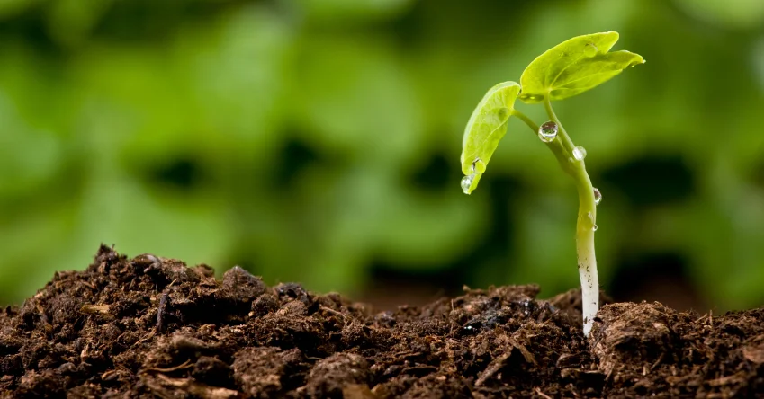 iStock_000005957821_Small_TEST.jpg