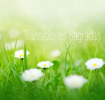 Transiciones Sagradas