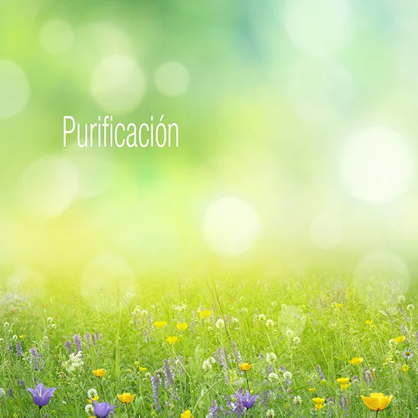 Purificación