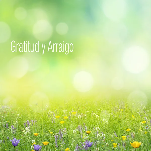 Gratitud y Arraigo