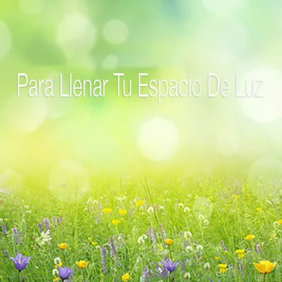 Para Llenar Tu Espacio de Luz
