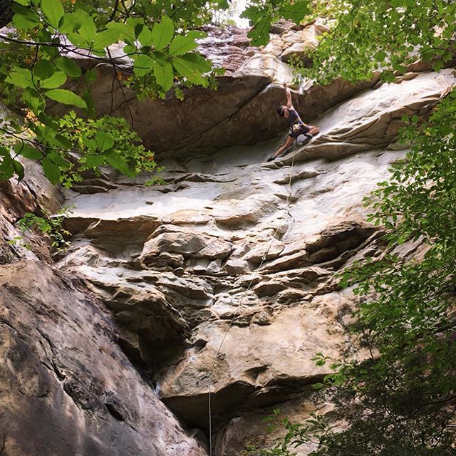 Last week I sent a new grade and got a new high point on a long term project. PSYCHE IS STRONG 
Equinox, 5.12b, South Clear 
Obed, TN 
@elmagneffico and @slothvibes8b on the belay, pic and the STOKE 
#rockclimbing #rocks #obed #southclear #tennessee 