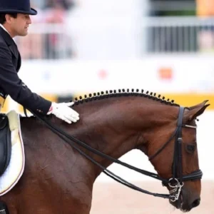 Raul Corchuelo - 561-541-1372 www.Rancor-dressage.com