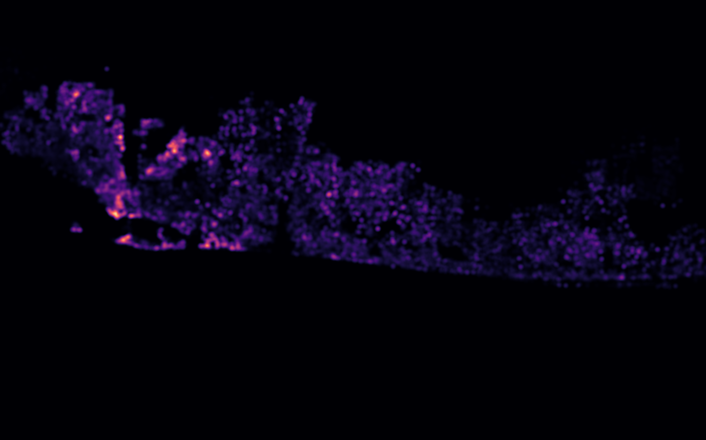 Miami - Pop.png