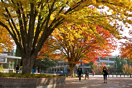 Fall at Sac State is the best. #Cityoftrees