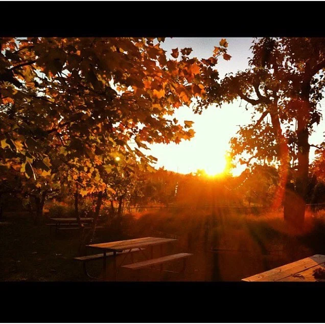 Photo taken at Boeger Winery in Apple Hill 2012