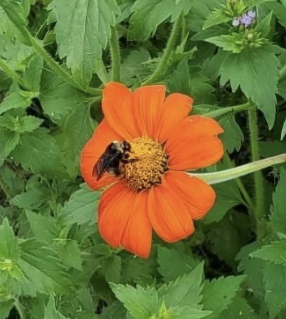 Screenshot 2025-10-25 at 2.10.44 PM.png