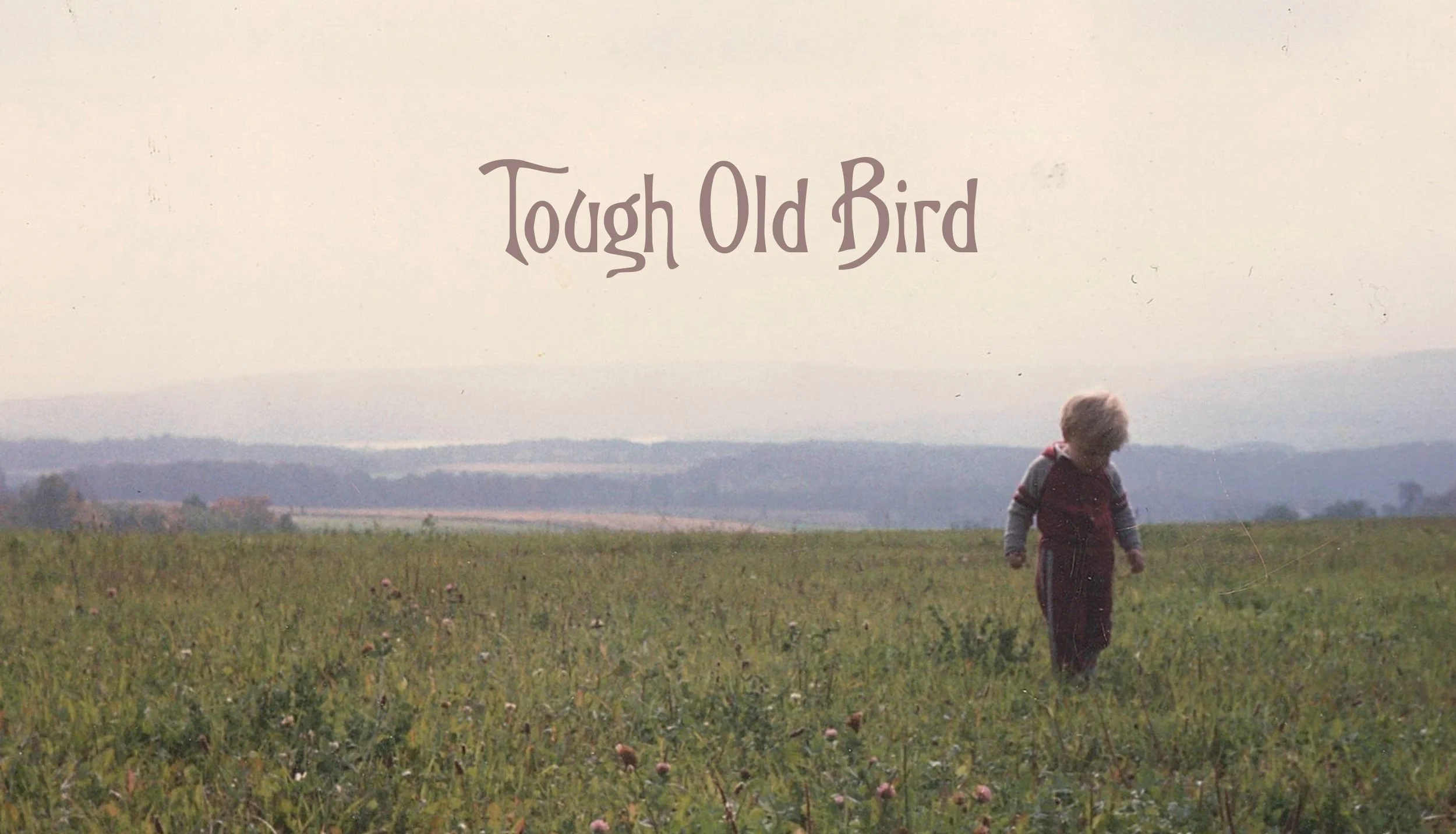 website background.jpg