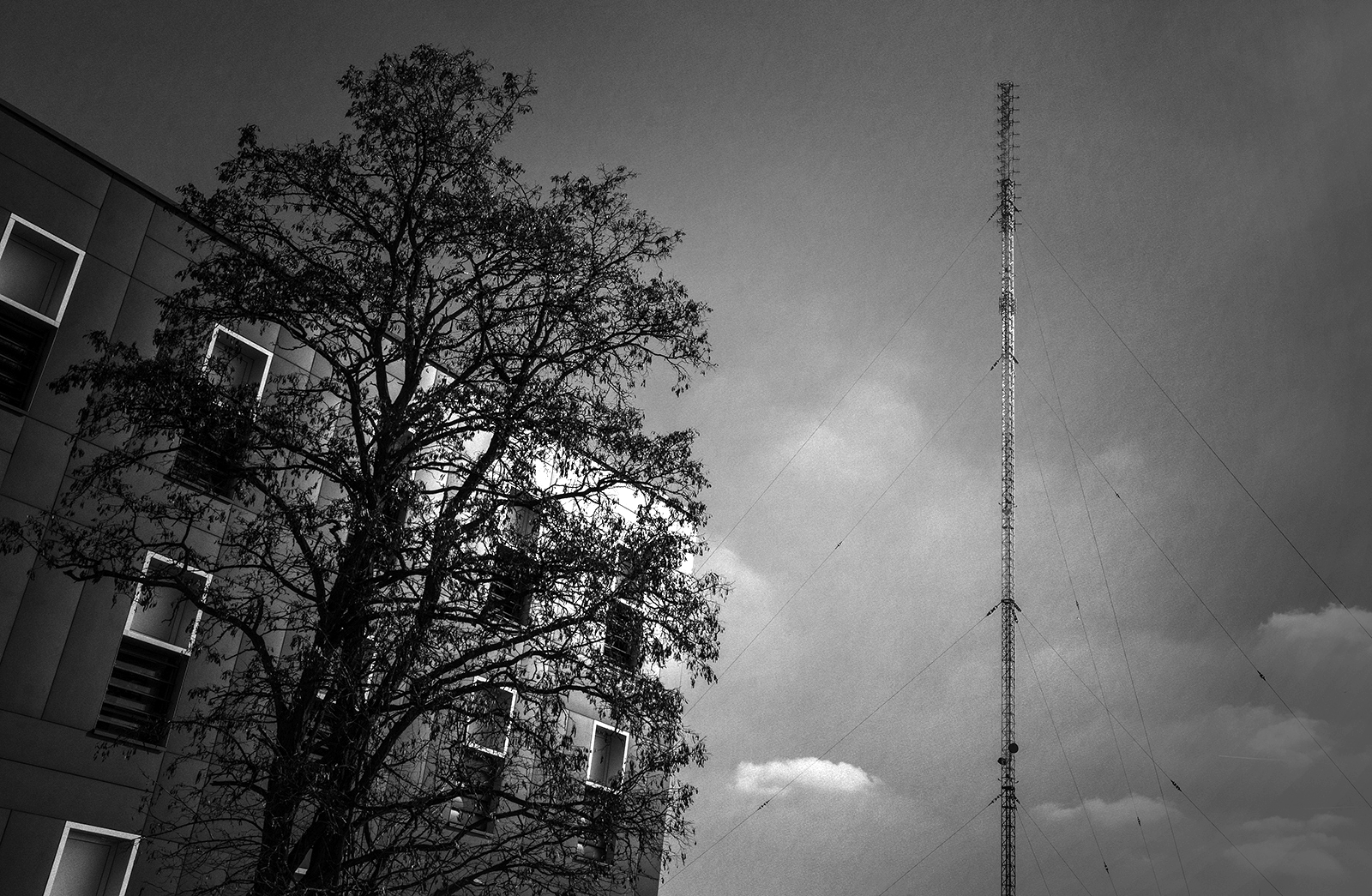 RADIO IN THE AMERICAN SECTOR