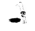 ANT_Derby copy2.jpg