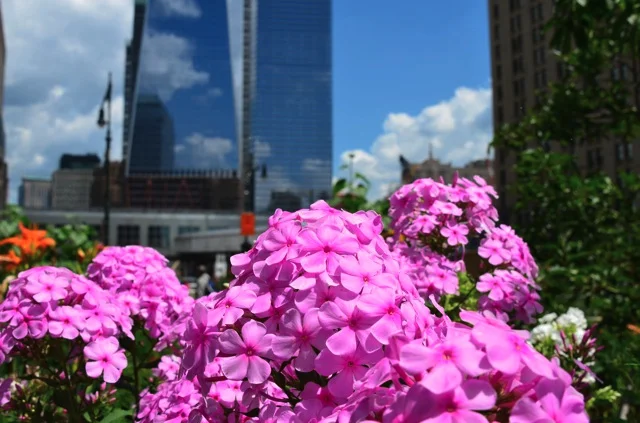 LCG 2012 flowers with towers.jpg