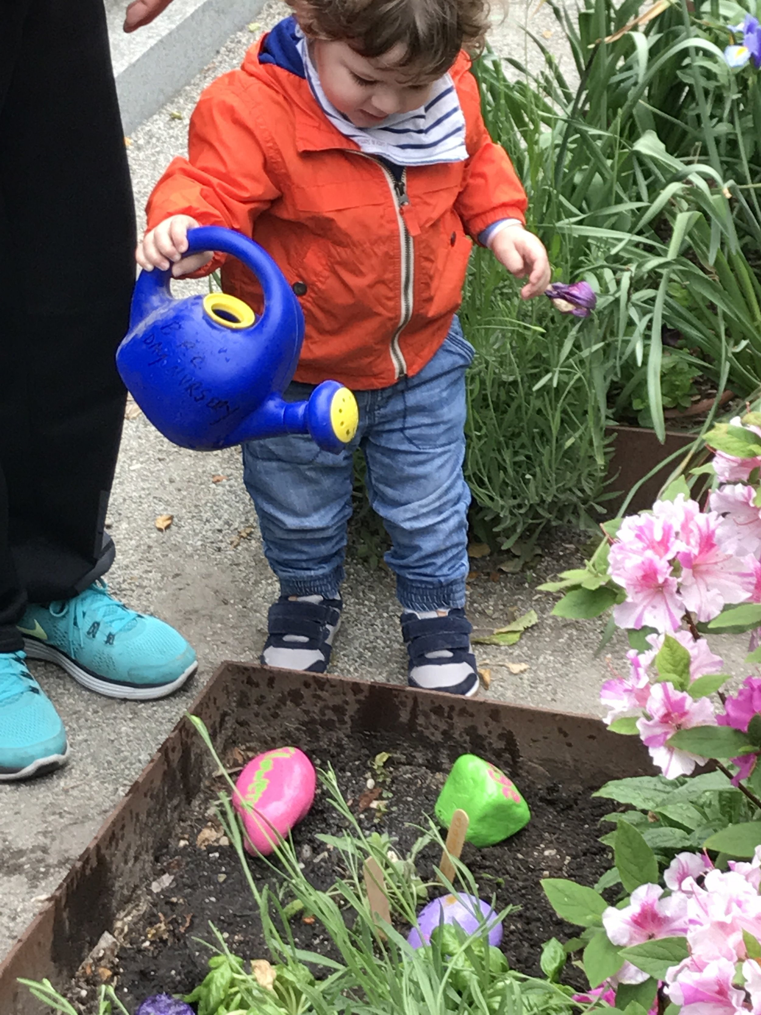 BPC Nursery School kids and parents planting on May 20th