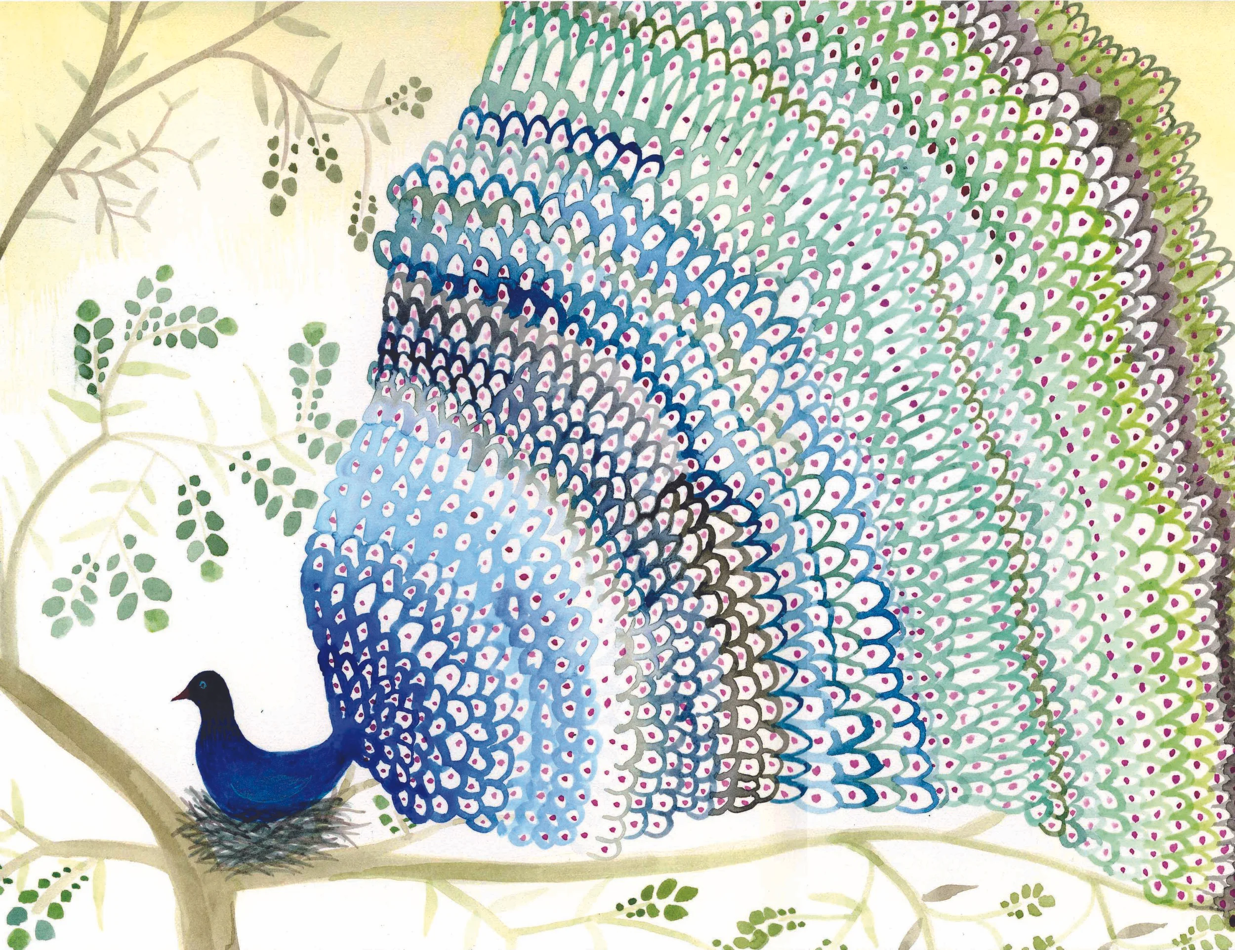 Peacock2(smfile).jpg