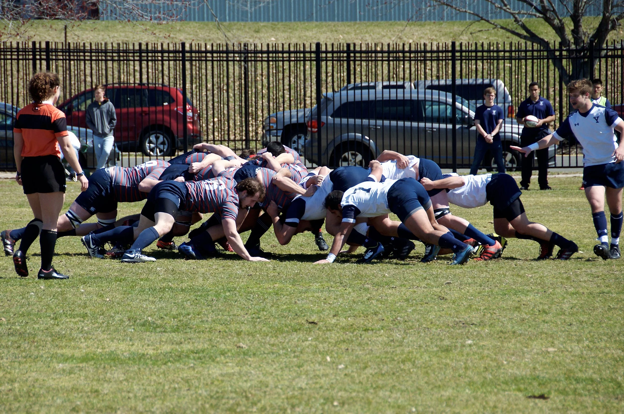 DSC_3118.jpg
