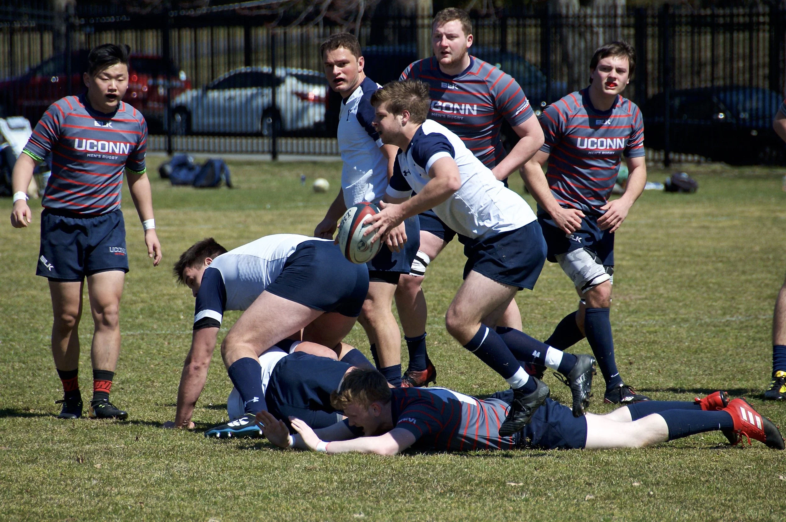 DSC_3142.jpg
