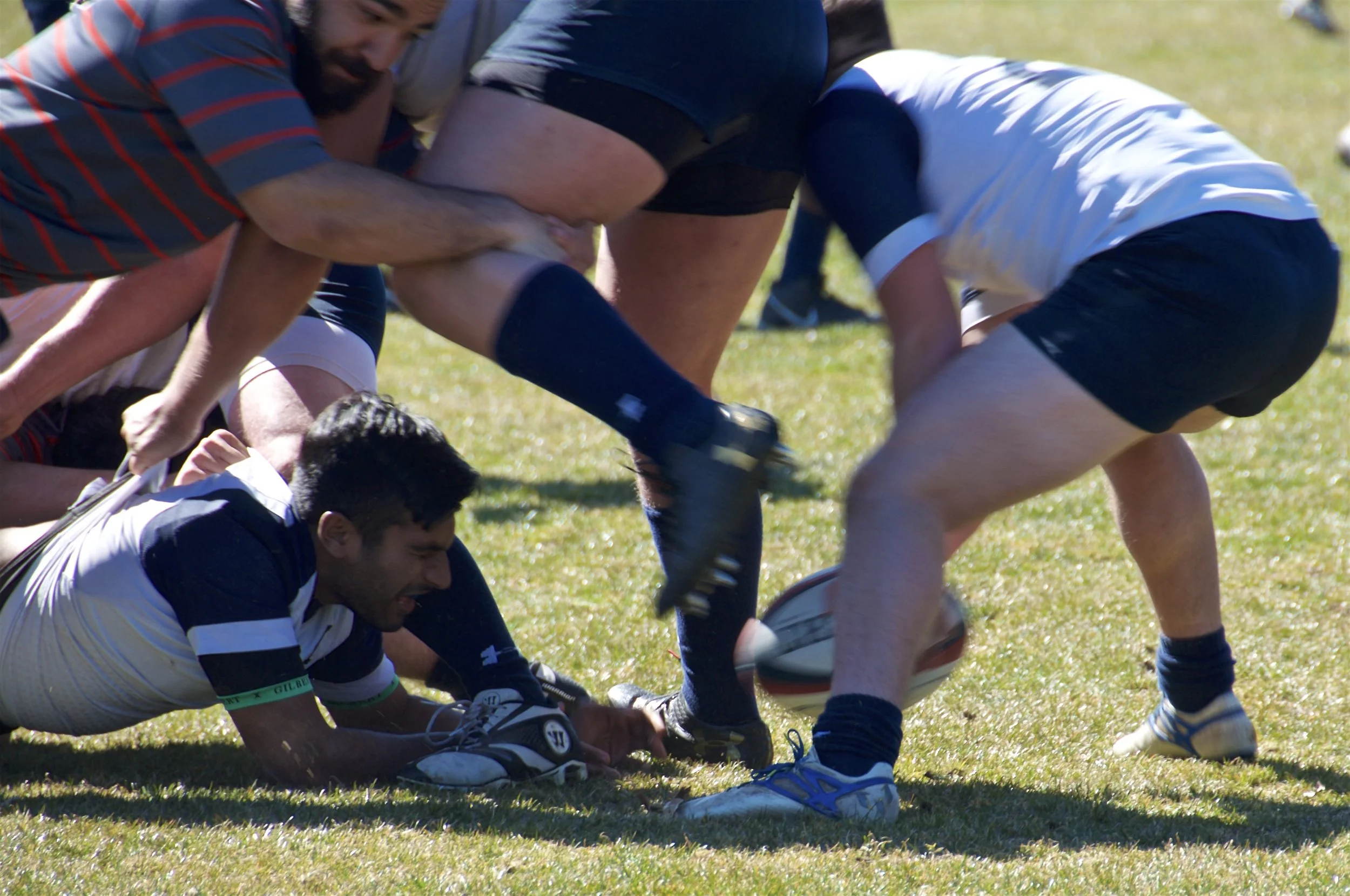 DSC_3450.jpg