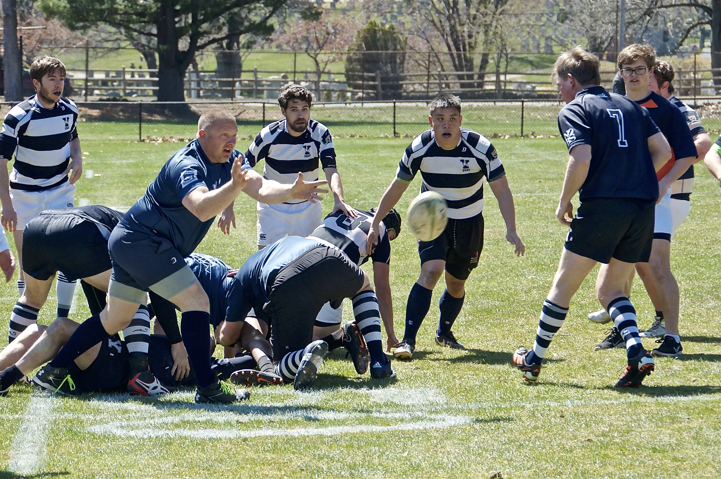 DSC_4010.jpg