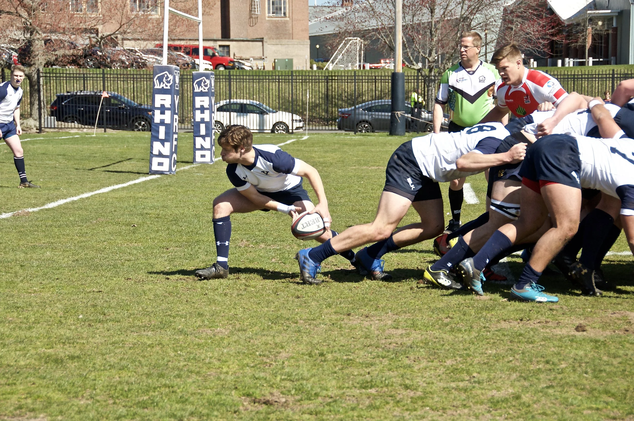 DSC_4351.jpg