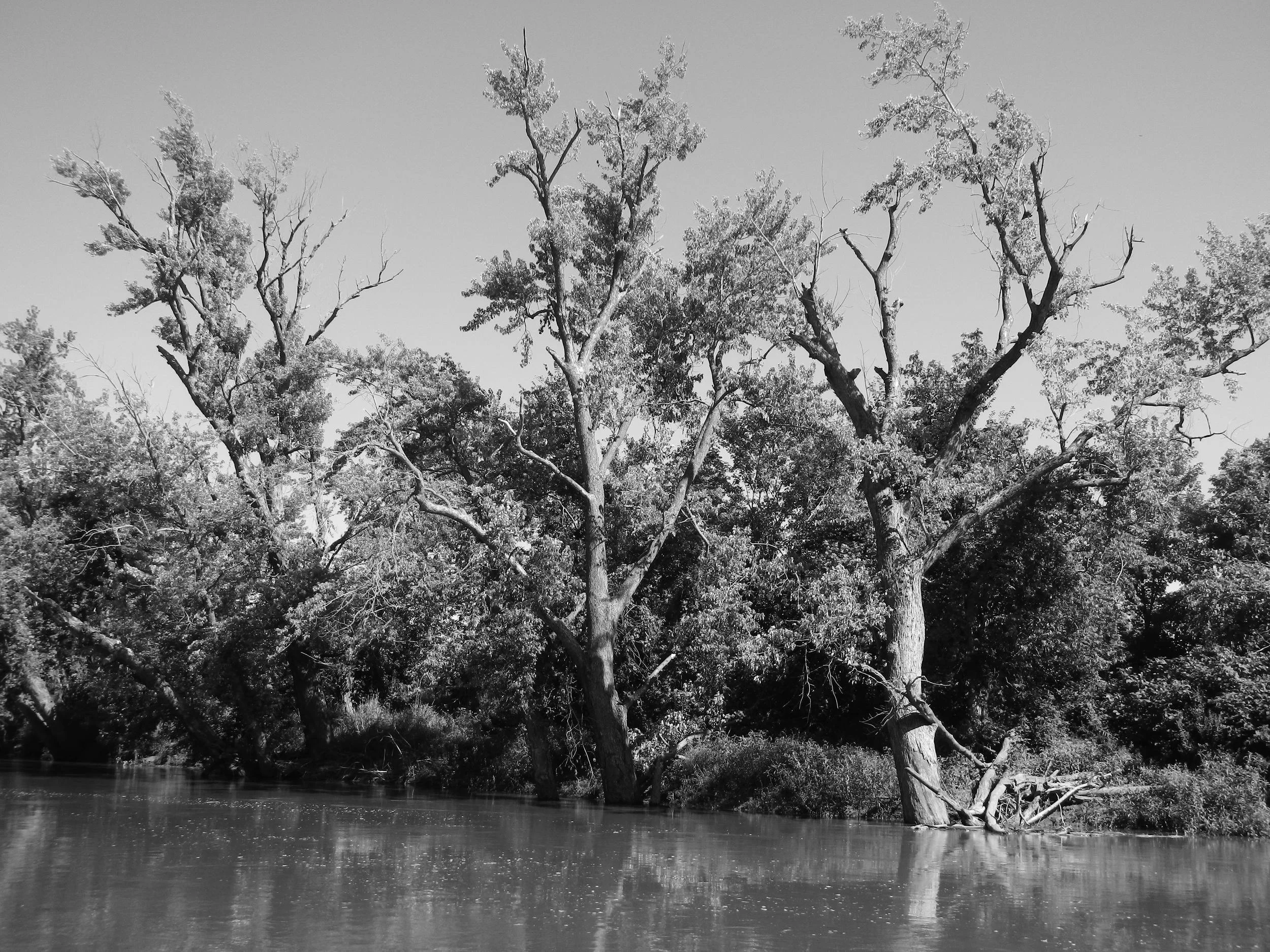 DSCN4401.JPG