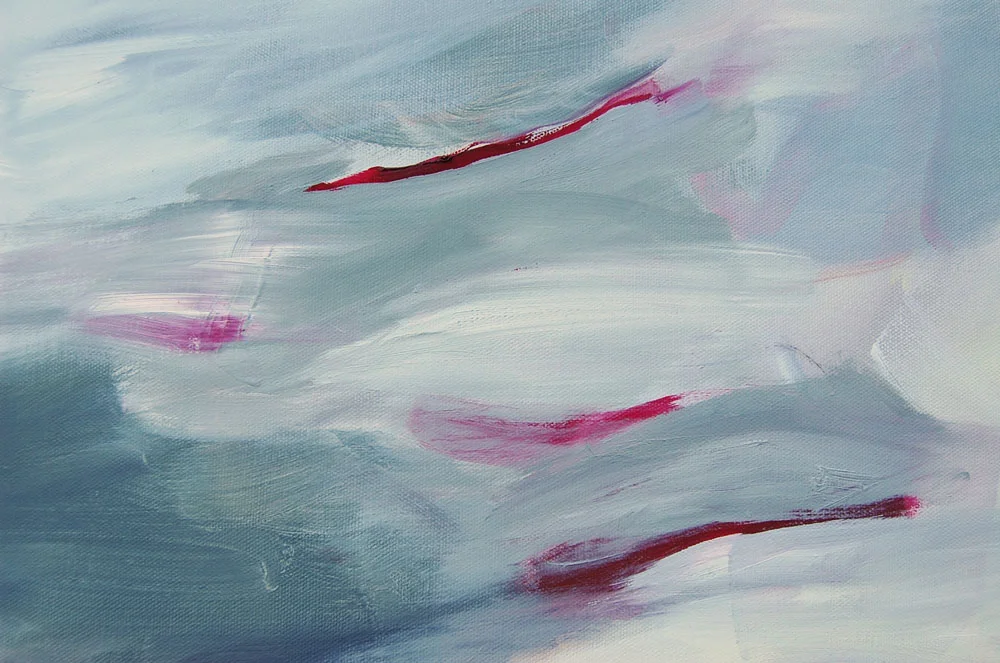 Carried here close-up 2.JPG