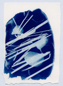 Cyanotypes by Sara Alonso-Martínez: