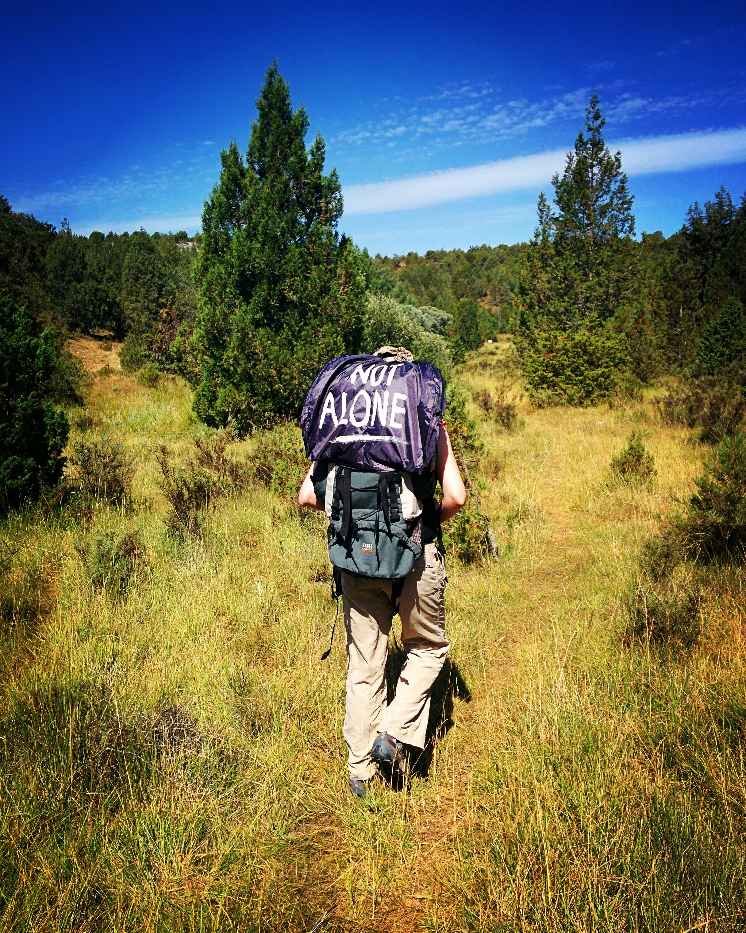 saraalonso_notalone_backpack02.jpg
