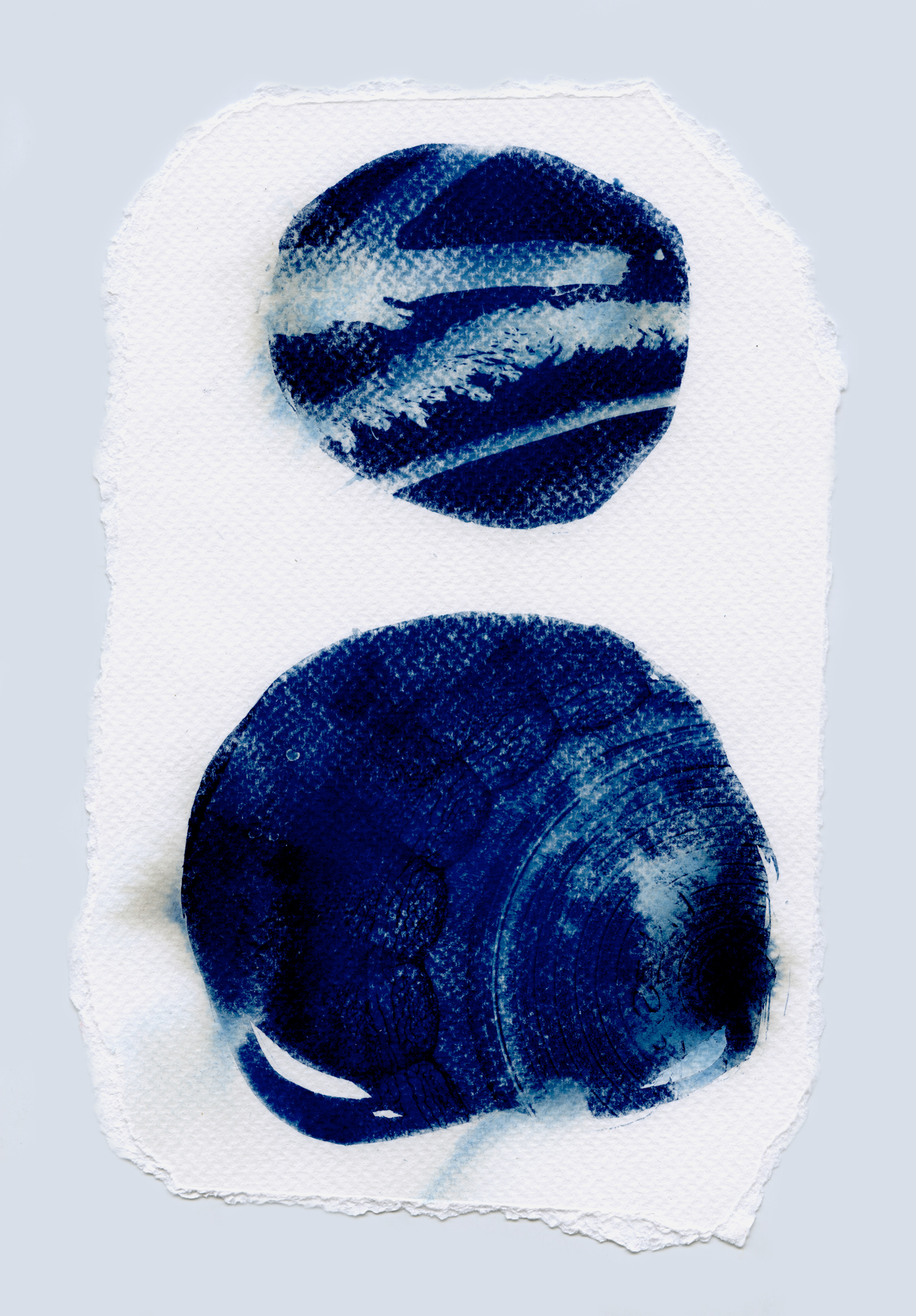 cyanotypesNOTALONE-18.jpg