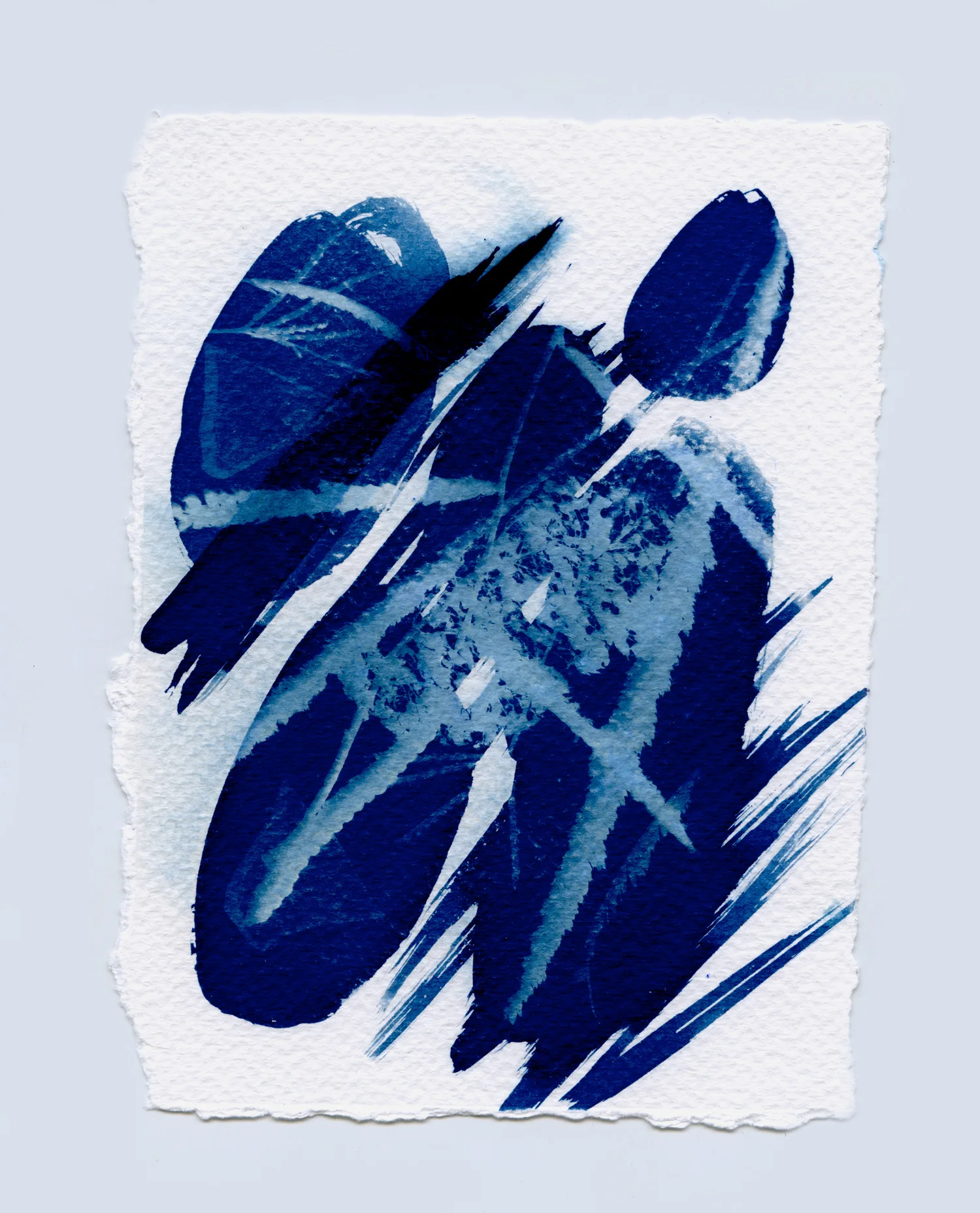 cyanotypesNOTALONE-19jpg