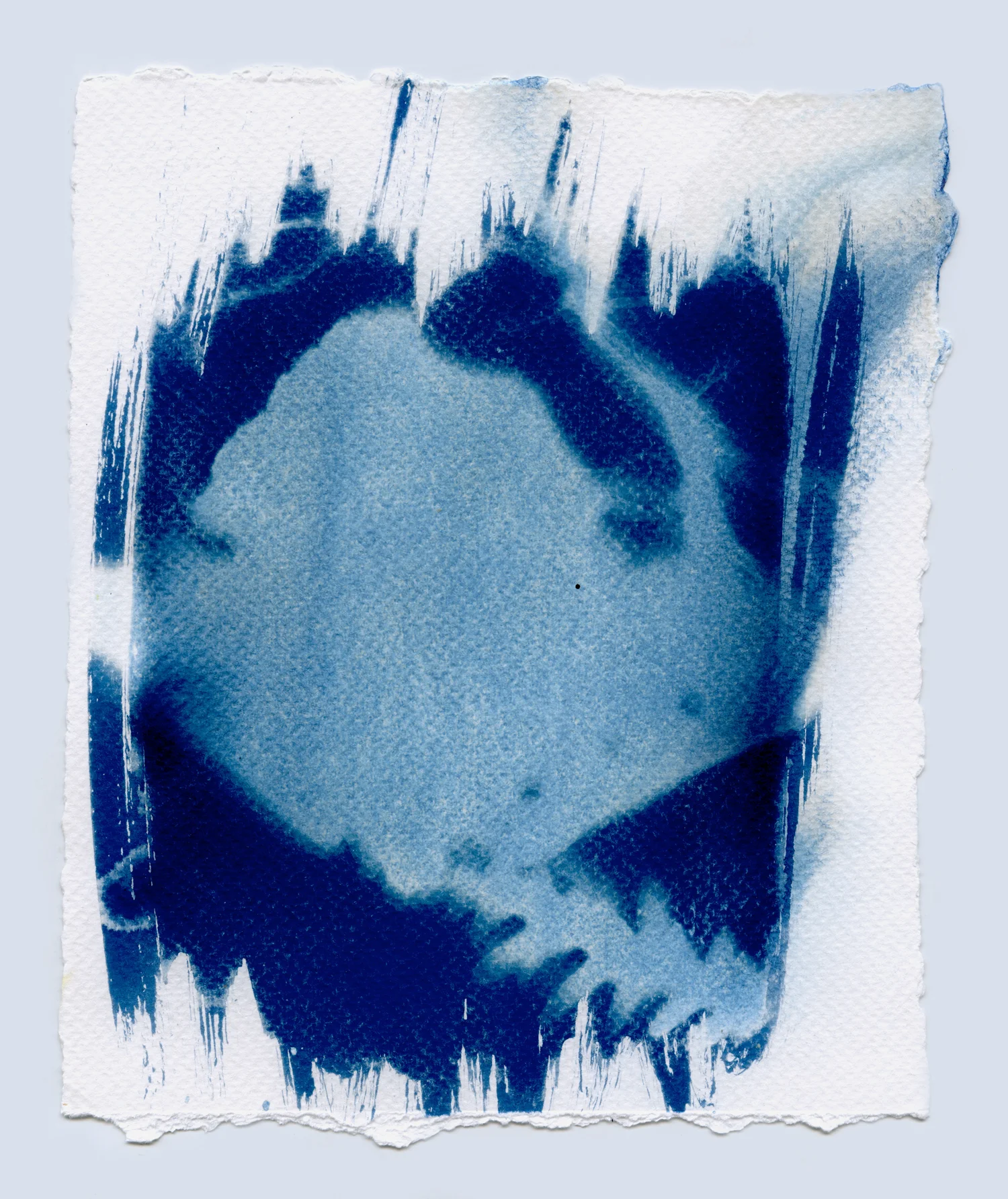 cyanotypesNOTALONE-21.jpg