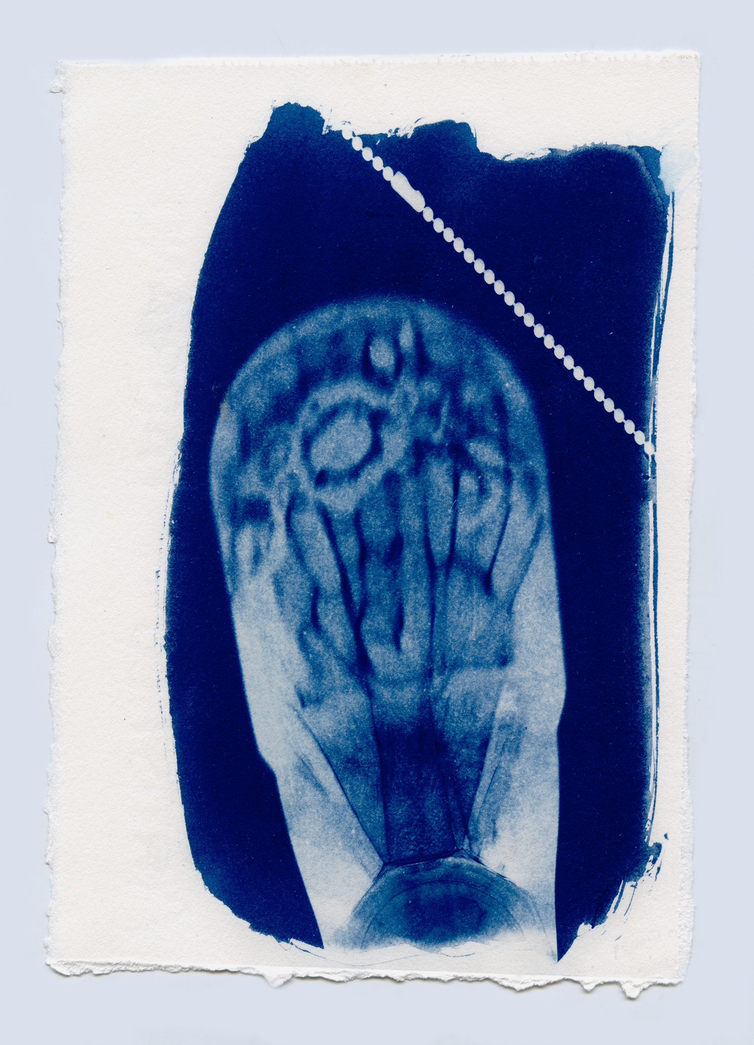cyanotypesNOTALONE-23.jpg