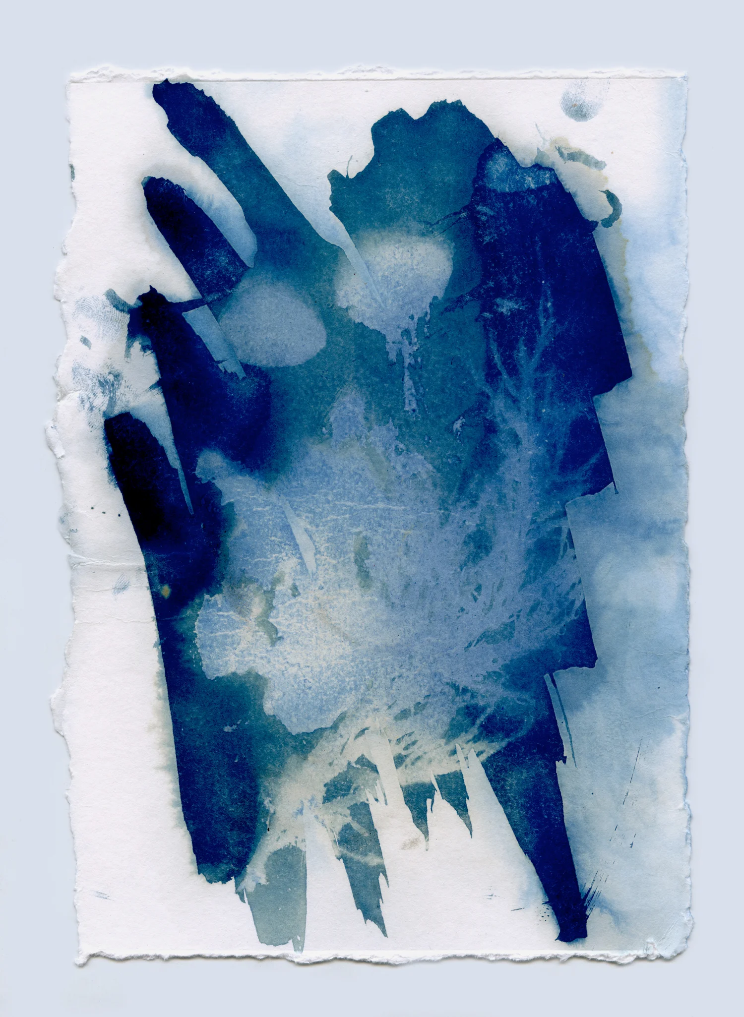 cyanotypesNOTALONE-24.jpg