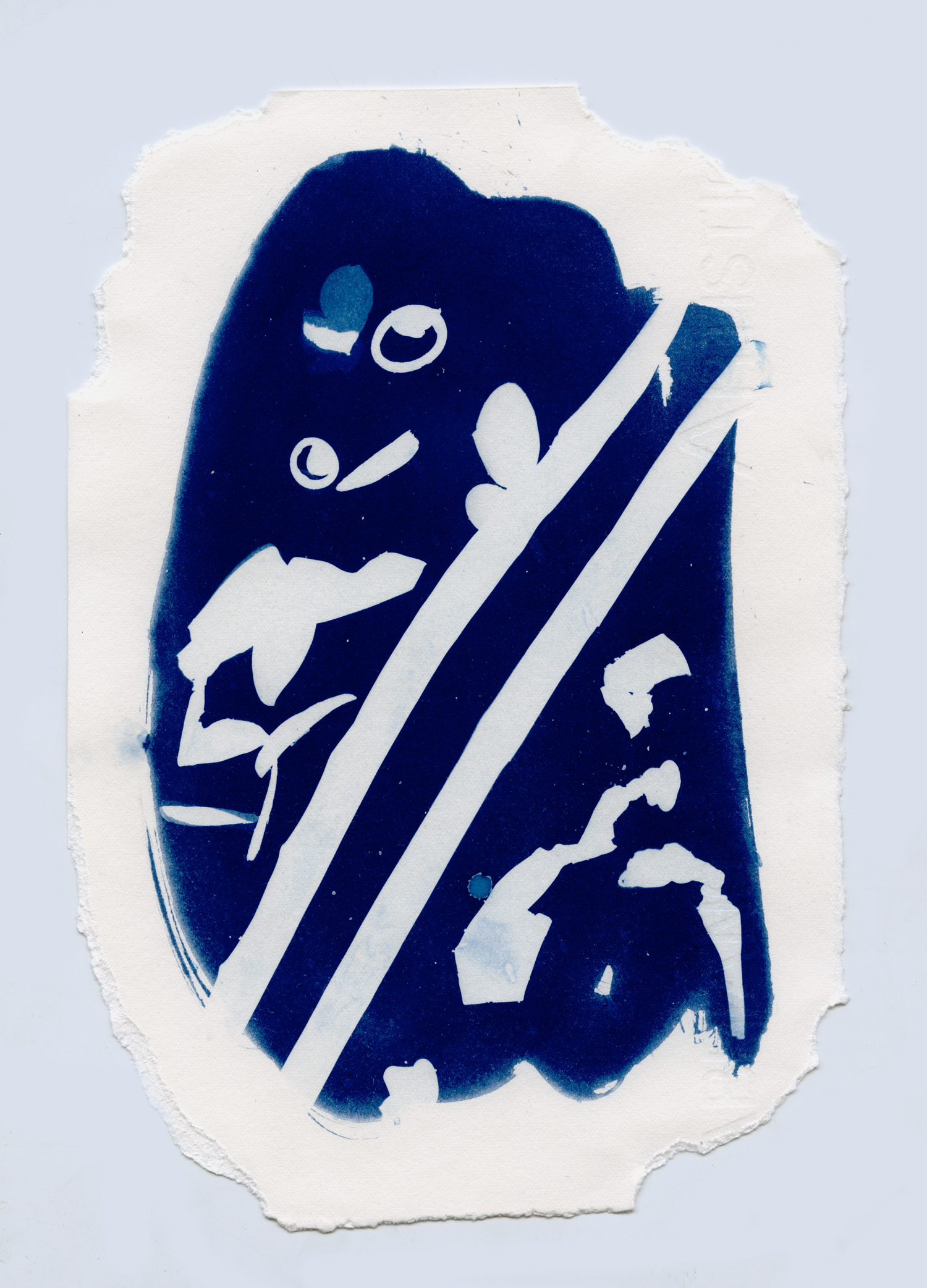 cyanotypesNOTALONE-25.jpg