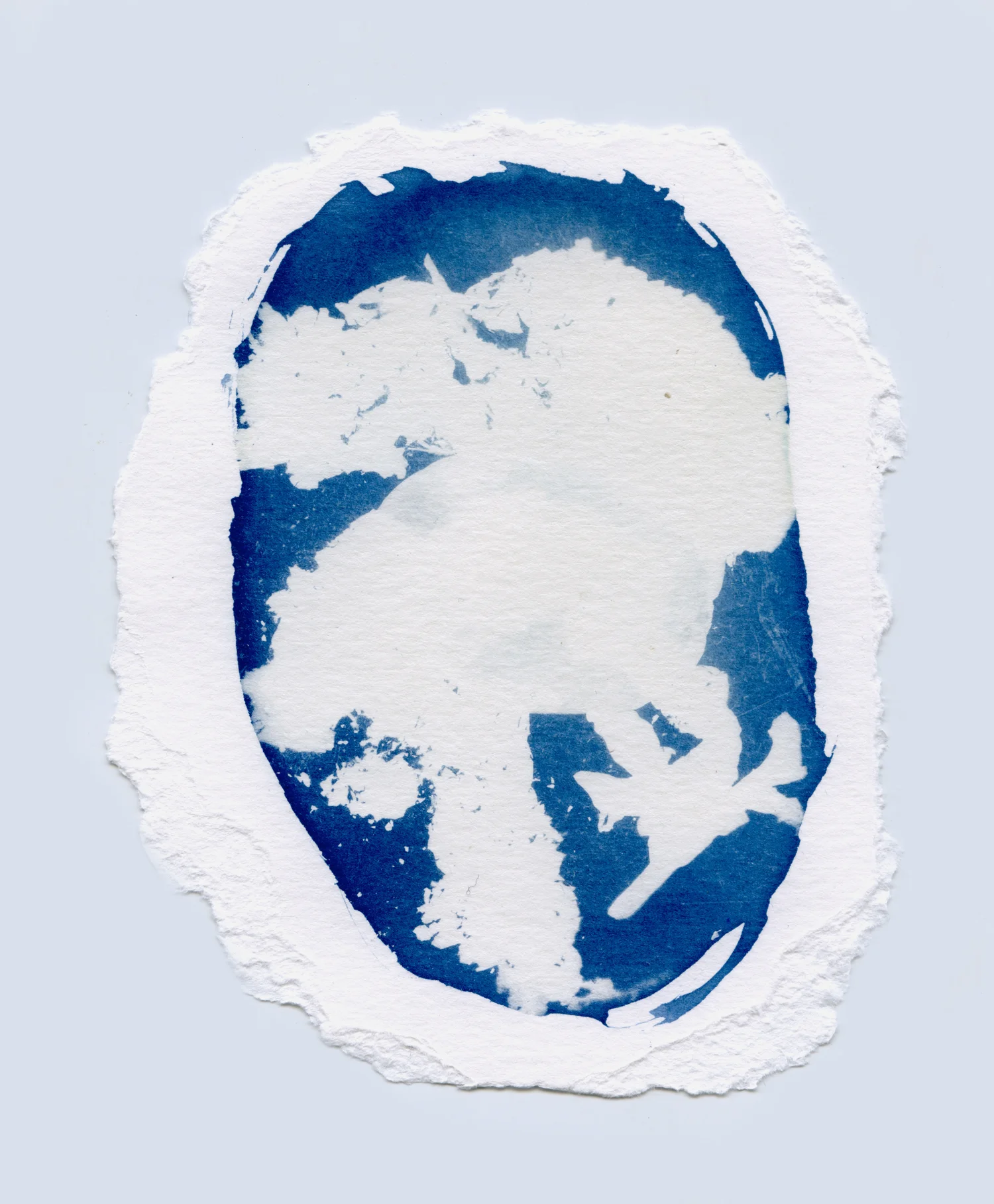 cyanotypesNOTALONE-26.jpg