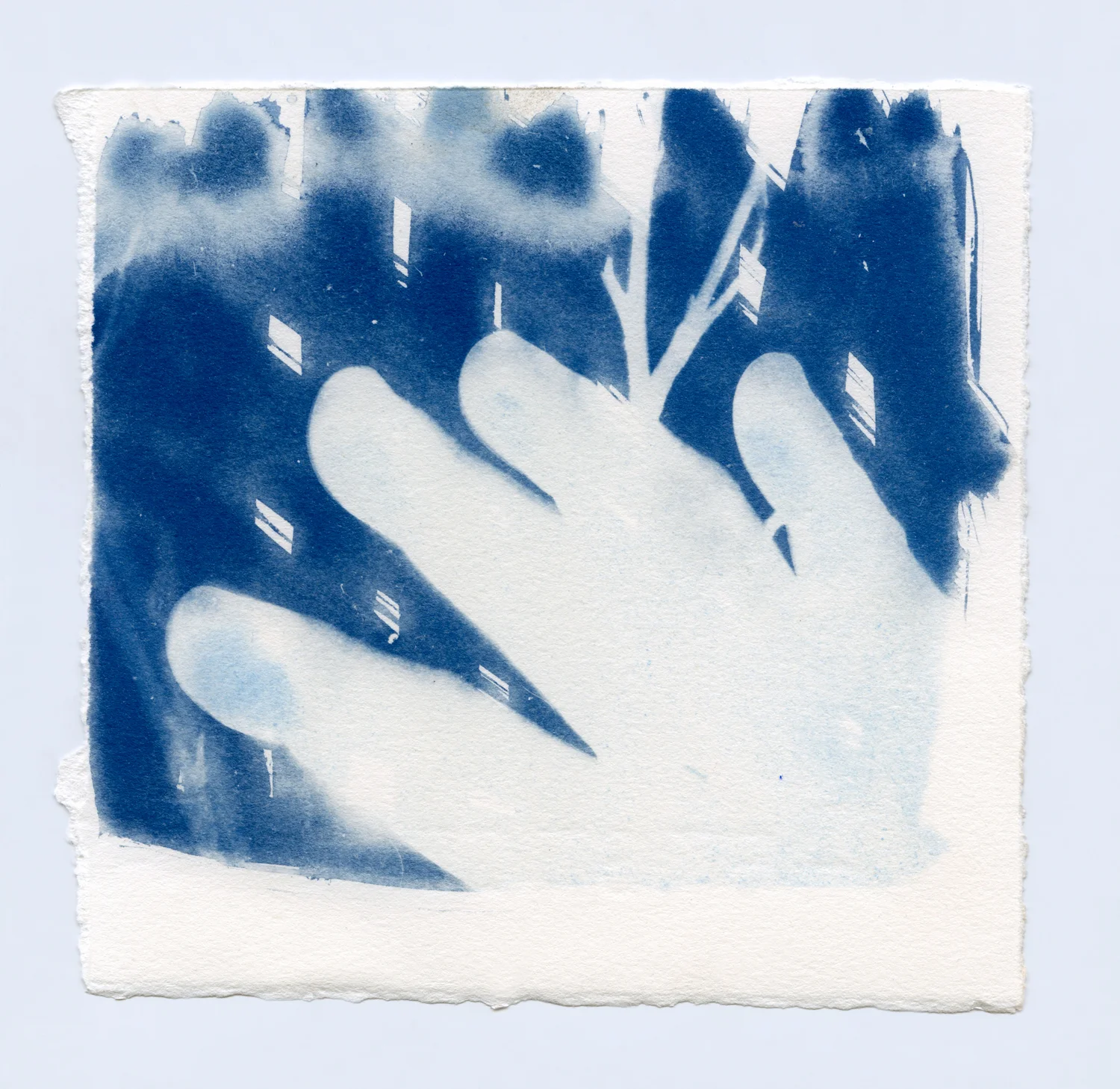 cyanotypesNOTALONE-3.jpg