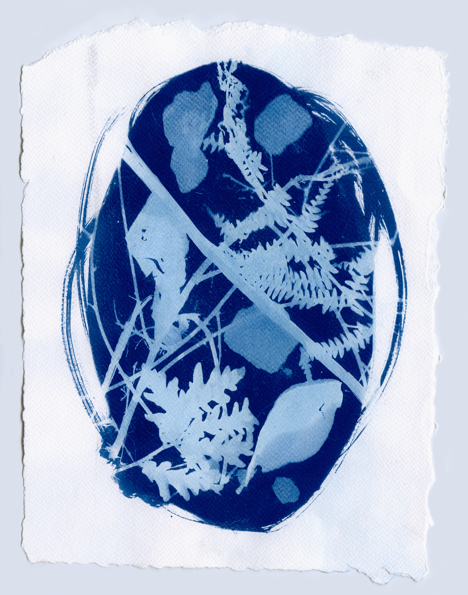 cyanotypesNOTALONE-009.jpg