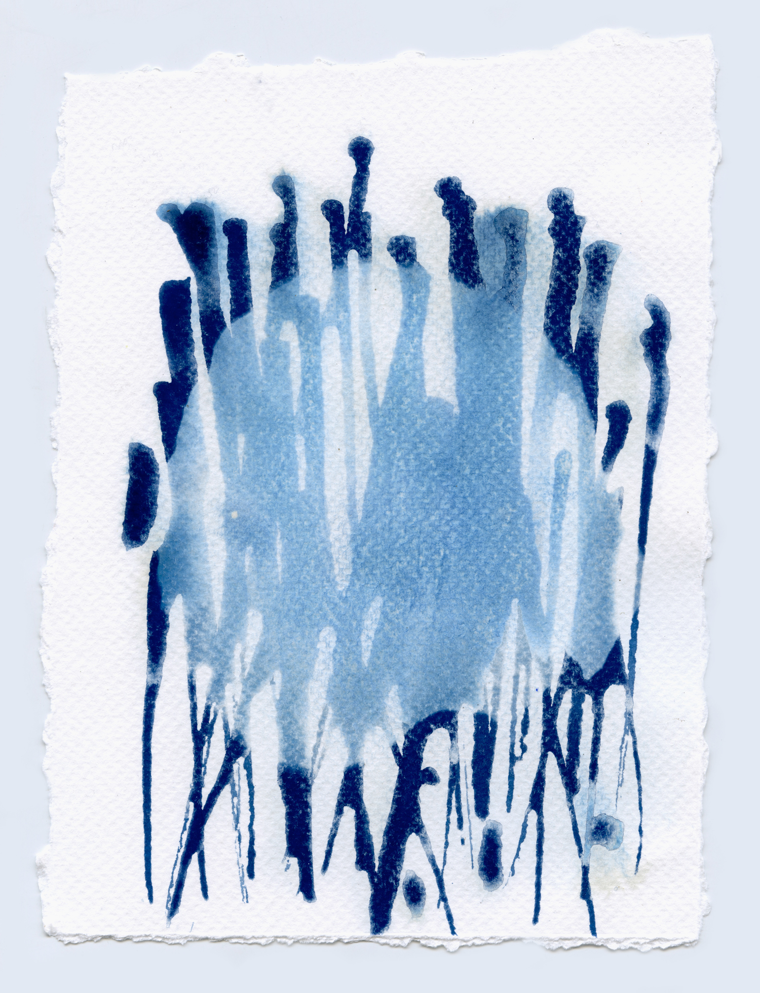 cyanotypesNOTALONE-11.jpg