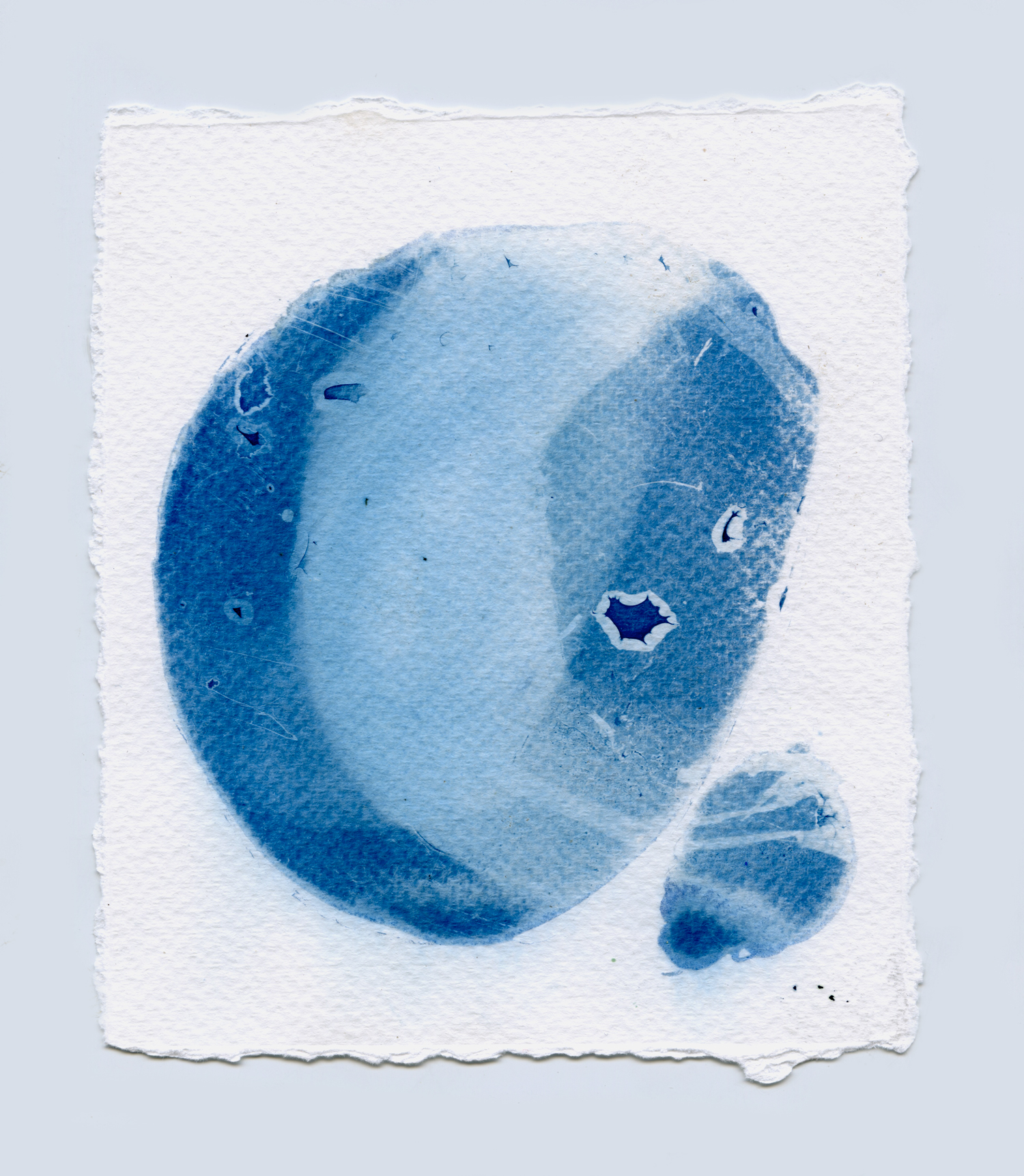 cyanotypesNOTALONE-17.jpg
