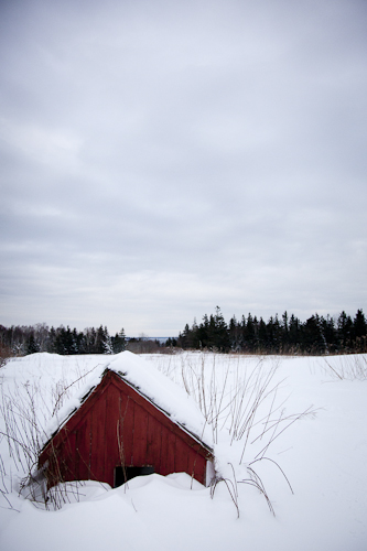 ced-25.jpg
