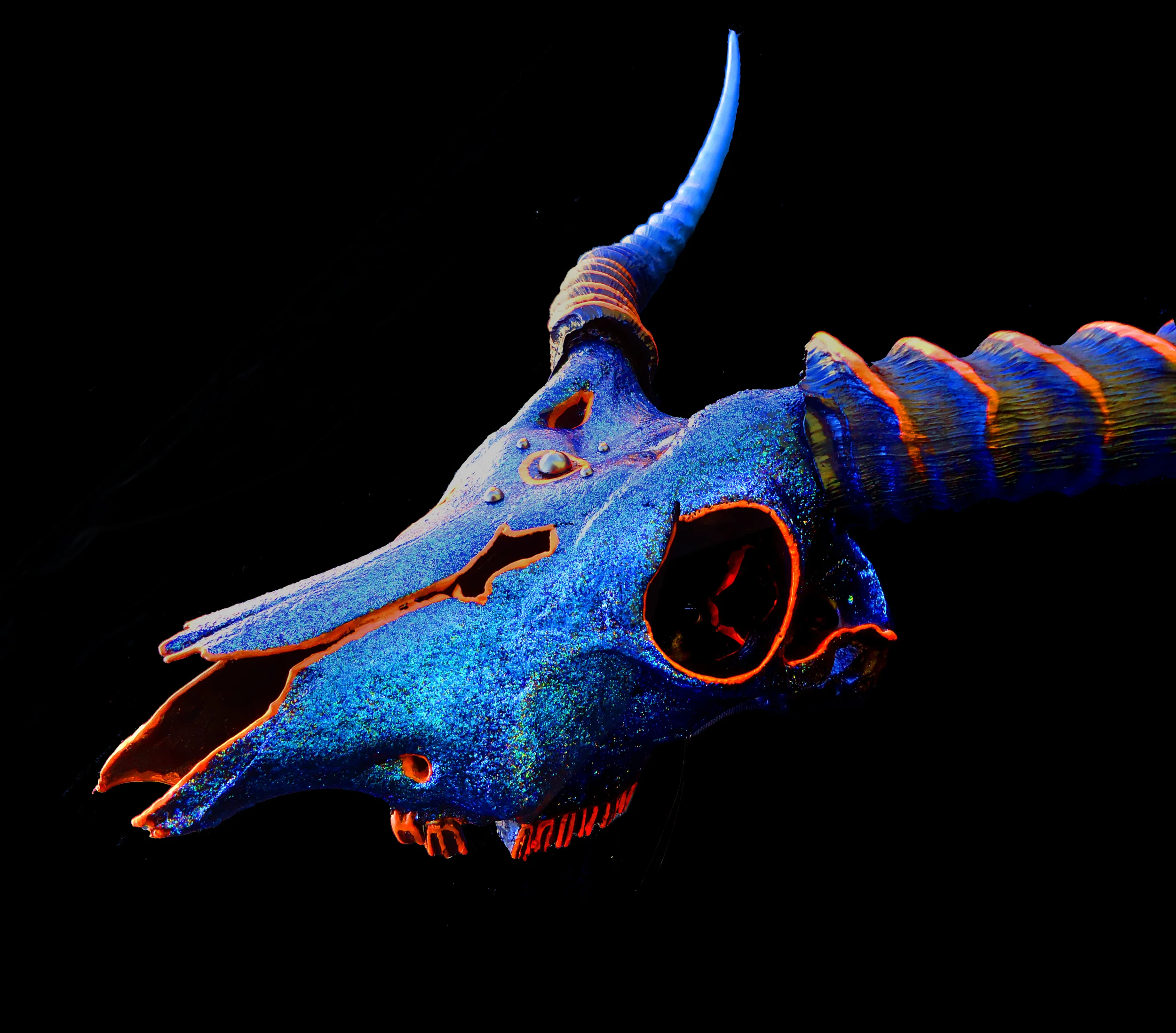 neptune skull side 2.jpg