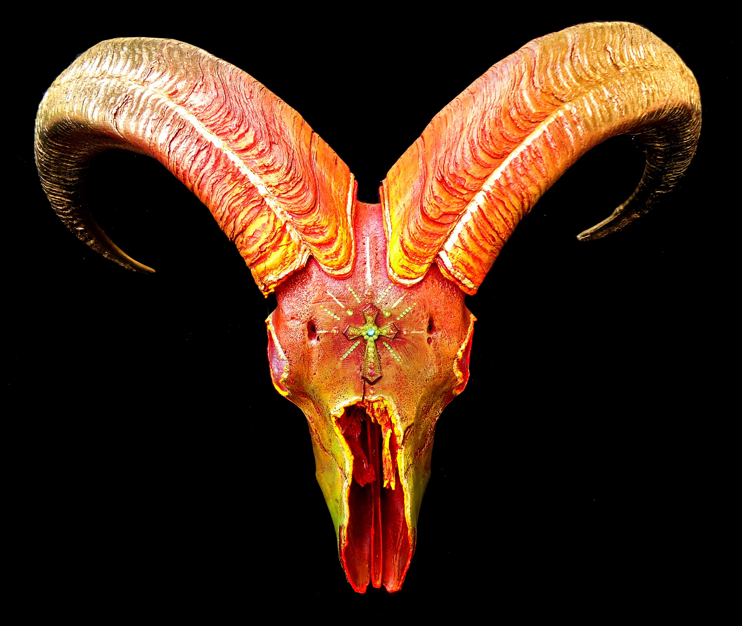 Bighorn Ram skull