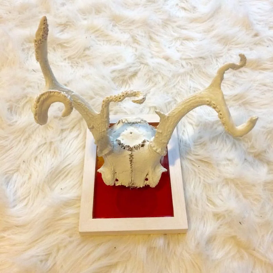 skull w tentacles.jpg