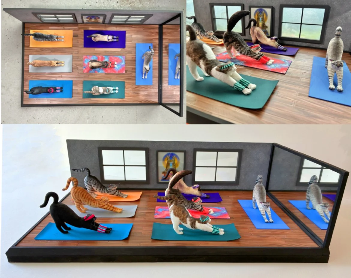 "Purrvana", a Yoga Studio just for Cats 