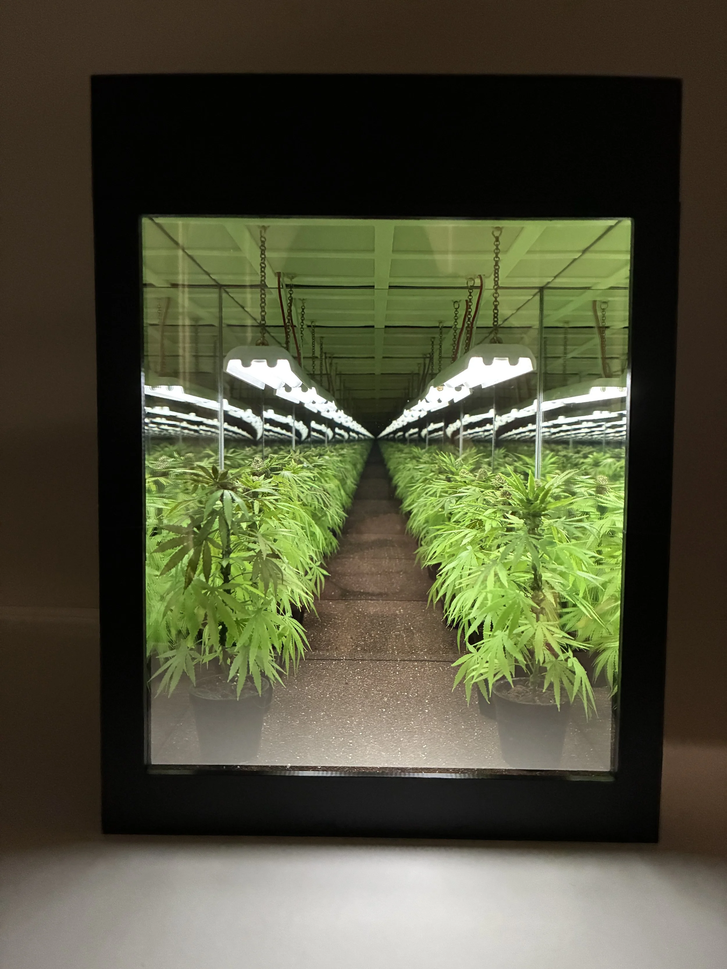 "Grow-Op Diorama", 2025