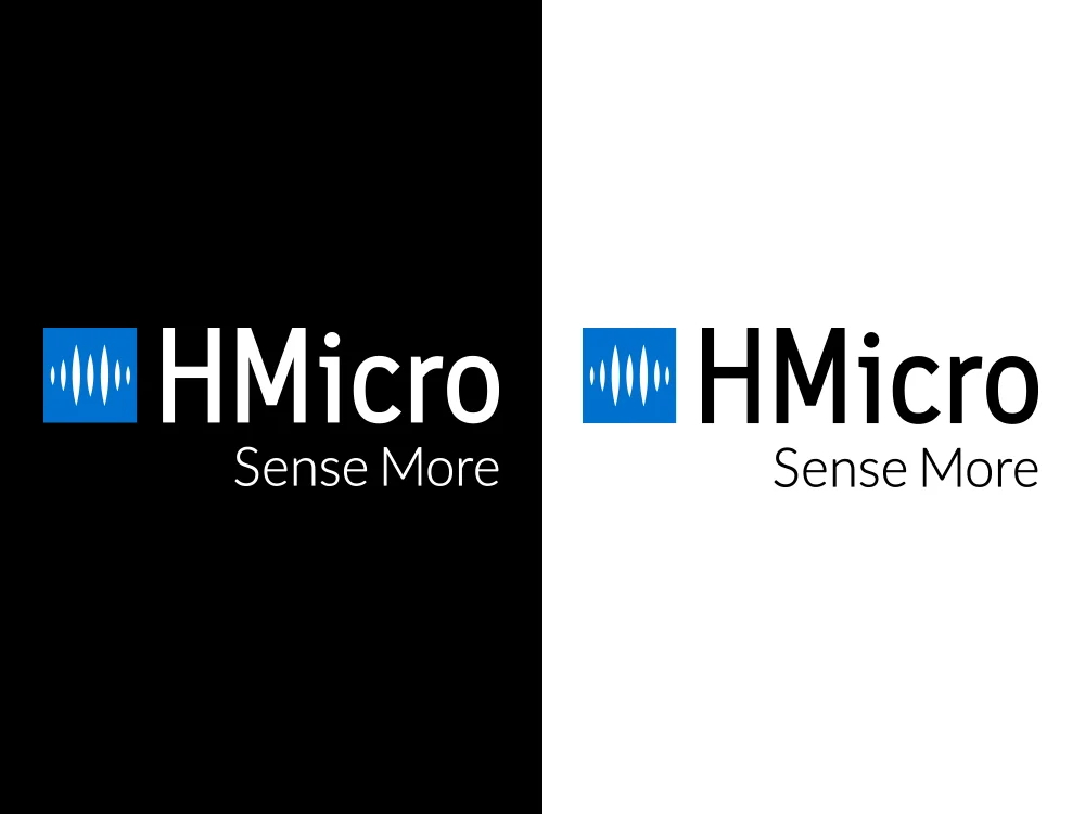 HMicro_Logo.jpg