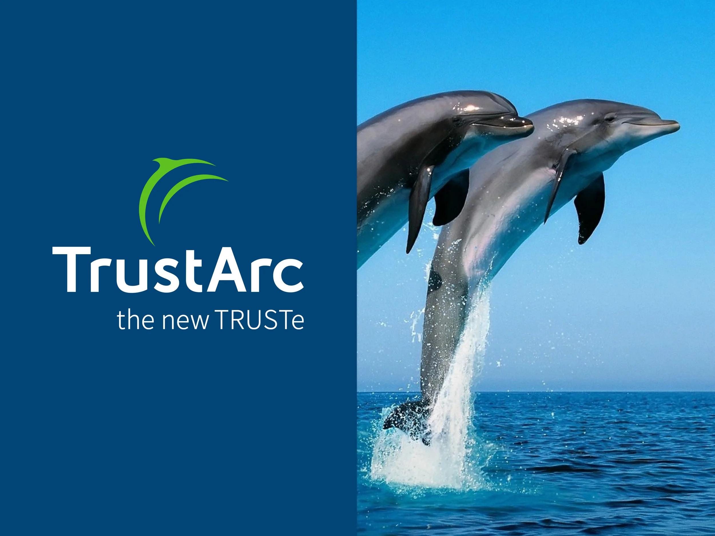 TRUSTe_CaseStudy_LogoAndDolphins.jpg