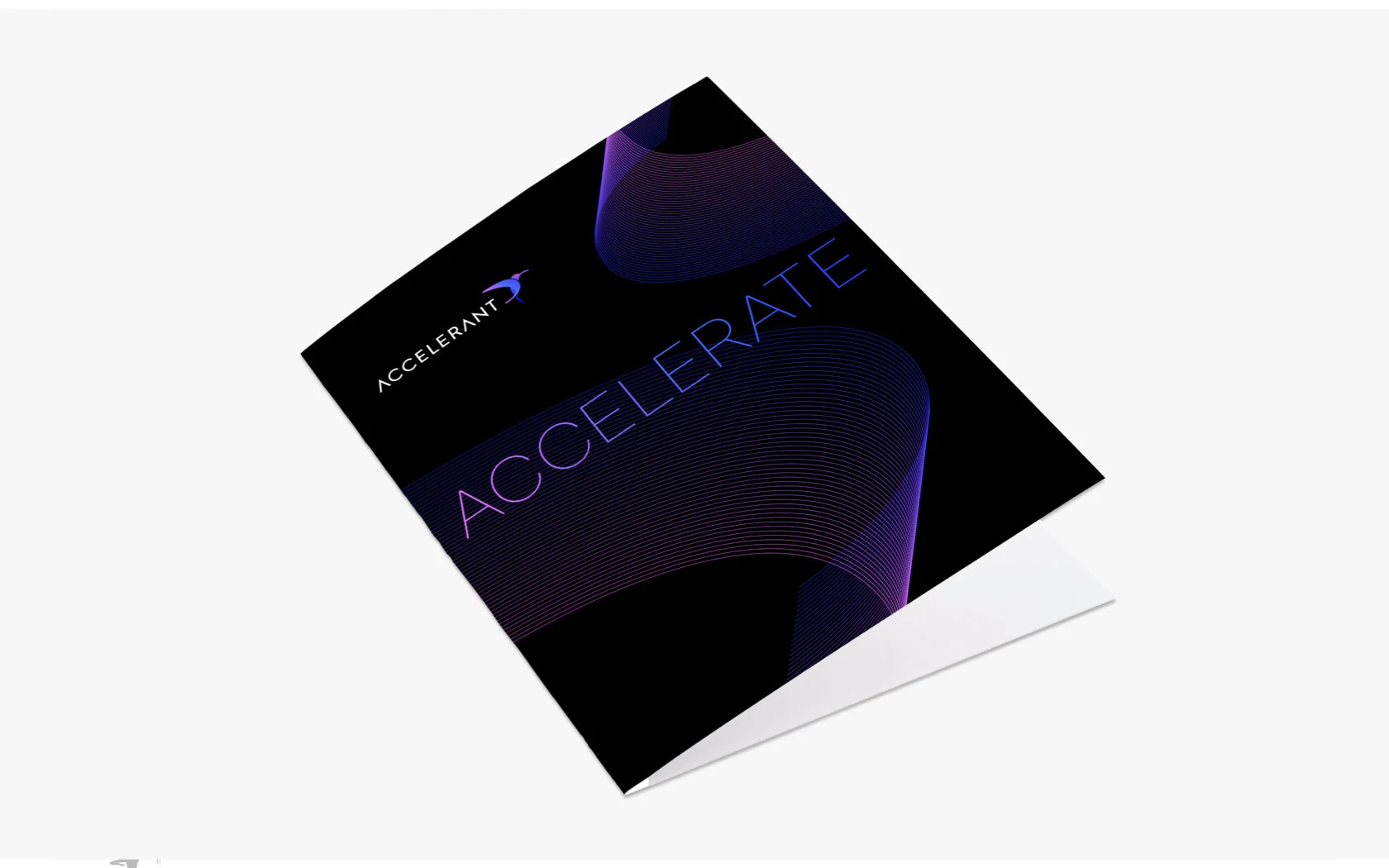 Accelerant_CaseStudy_Images for Website.007.jpeg