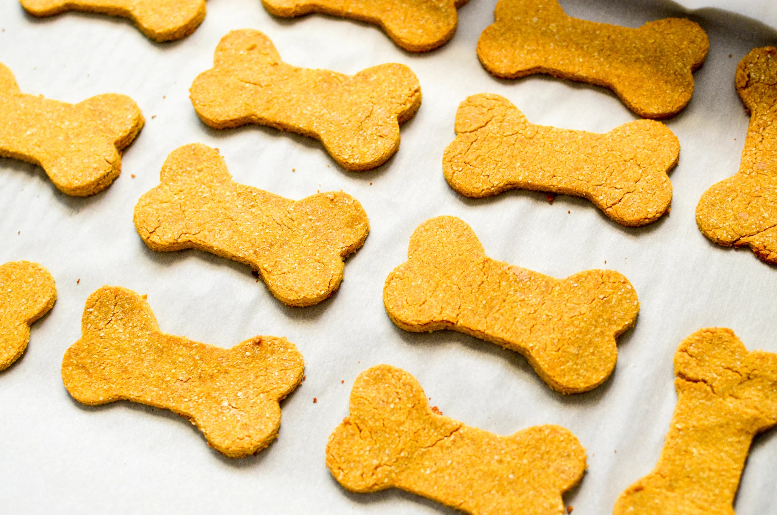 dog treats made with rice flour