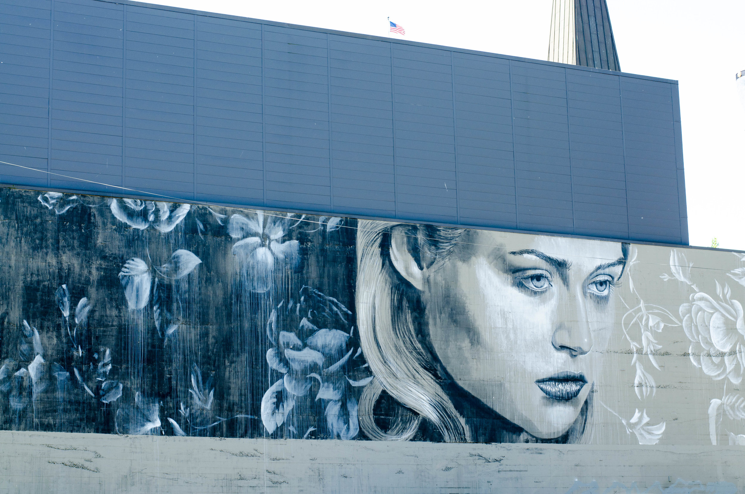DSC_2566.jpg