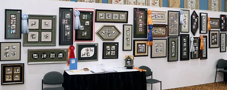 Our work (red box) hanging on display the 2015-16 International level after winner second place at regionals.