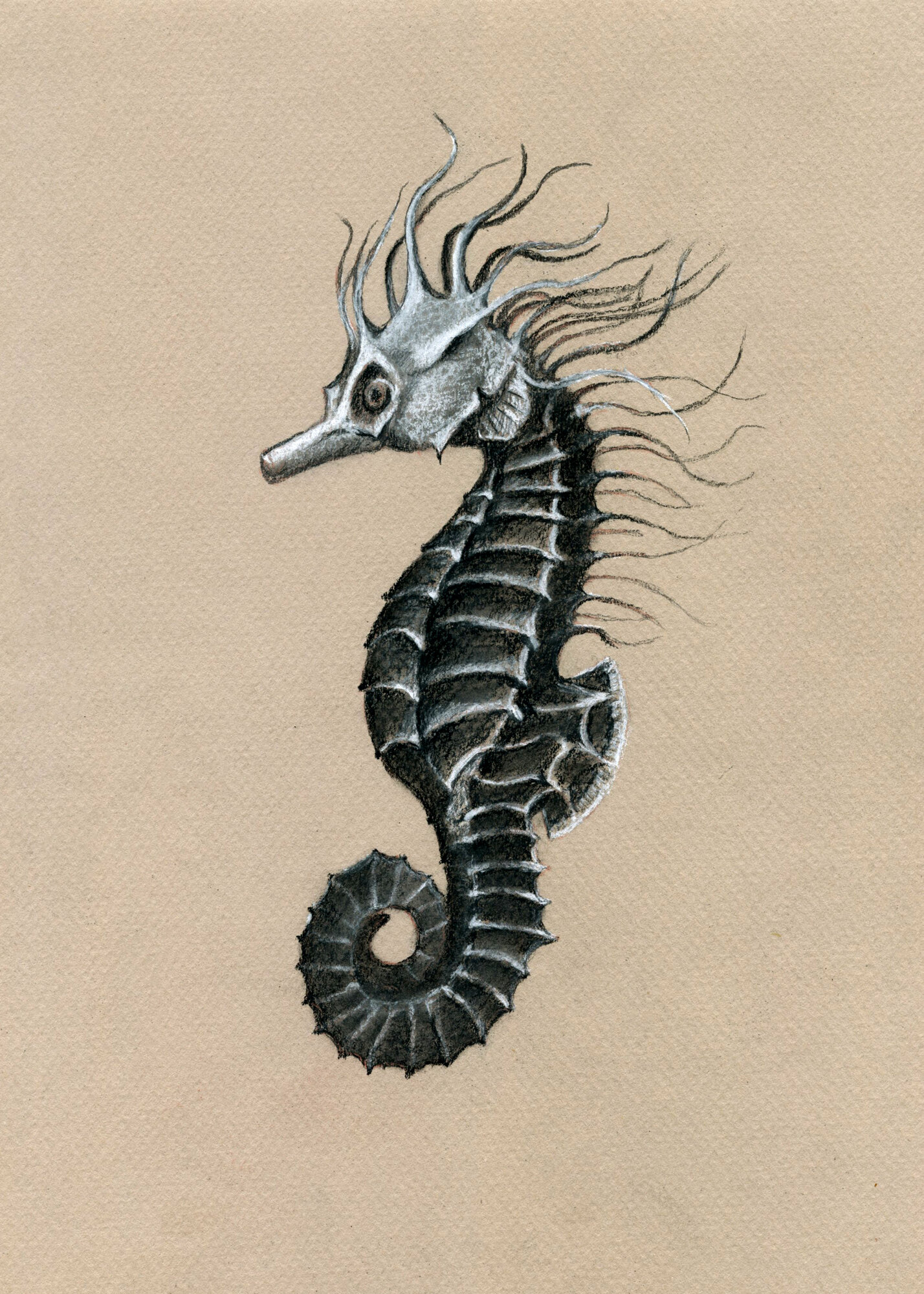 Seahorse, 2020